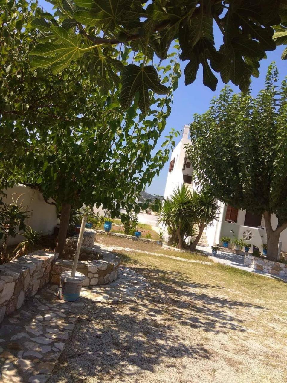 Athena'S Houses Skyros Exterior foto